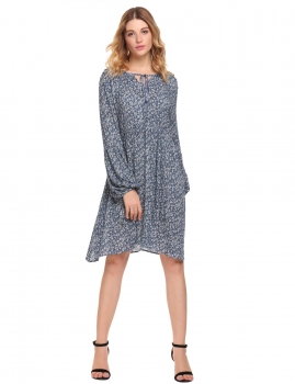 Blue Women Casual V-Neck Lantern Sleeve Lace Up Cuffs Prints Pullover Dress, Multicolor
Blue Women Casual V-Neck Lantern Sleeve Lace Up Cuffs Prints Pullover Dress, Multicolor