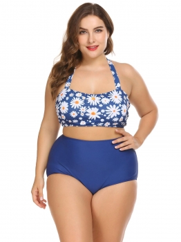 Blue Women Plus Size Two Pieces Halter Bikini Set Printing Padded Swimwear Bathing Suits, Multicolor
Blue Women Plus Size Two Pieces Halter Bikini Set Printing Padded Swimwear Bathing Suits, Multicolor