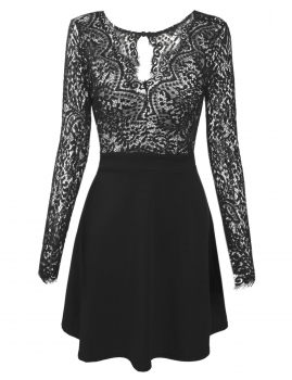 

Black V-Neck Lace Floral Open Back Skater Pleated Dress, Multicolor
