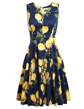 

Blue Vintage Style Sleeveless Lemon Print Swing Skater Casual Dress, Multicolor