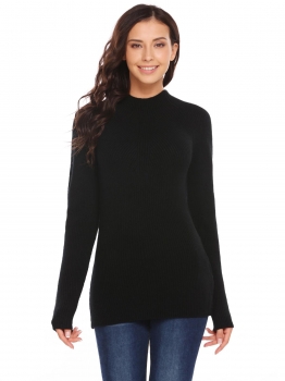 

Black Women Casual Turtle Neck Long Sleeve Solid Pullover Slim Warm Sweater, Multicolor