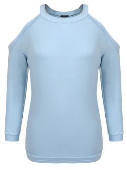 

Baby Blue Plus Size Long Sleeve Cold Shoulder Pullover Sweatshirts, Multicolor