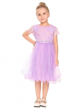 

Purple Kids Girl O-Neck Short Cap Sleeve Patchwork Embroidery Dress, Multicolor