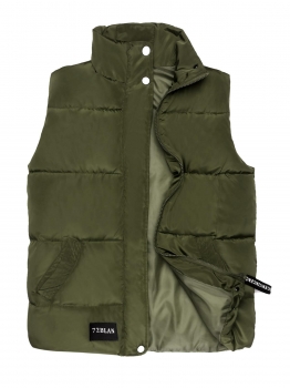 

Army green Women Warm Stand Collar Sleeveless Casual Puffer Quilted Vest with Pocket, Multicolor