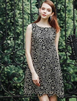 

Sleeveless Round Collar Embroidery Cut Out A-Line Going Out Dress, Multicolor