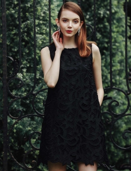 

Sleeveless Round Collar Lace Solid A-Line Going Out Dress, Multicolor