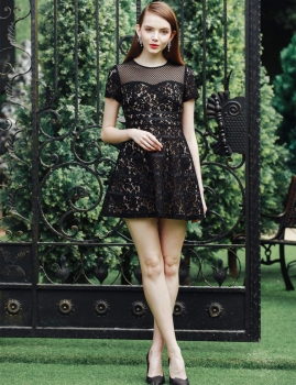

Round Collar Short Sleeve Floral Lace Zipper Up Mini Party Dress, Multicolor